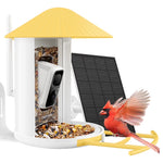 Birdfy Feeder Yellow with Solar Panel