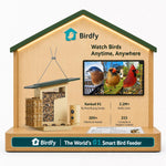 Birdfy Specilized Countertop Display