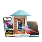 Birdfy Feeder AI +Solar SM