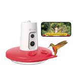 Birdfy Hum Feeder Ruby