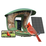Birdfyfeeder2