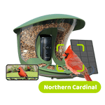 Birdfy feeder2 pro