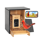 Birdfy Feeder Bamboo Mini - Bird Feeder With Camera