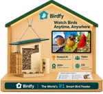 Birdfy Specilized Countertop Display