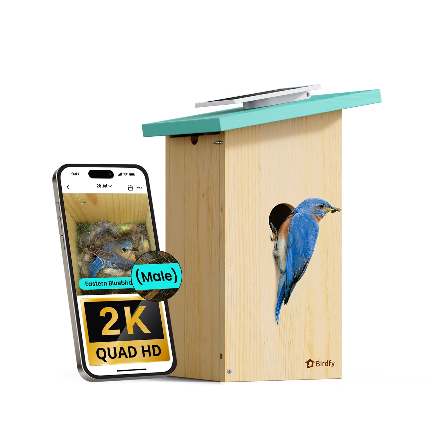 Birdfy Nest Cyan 2K