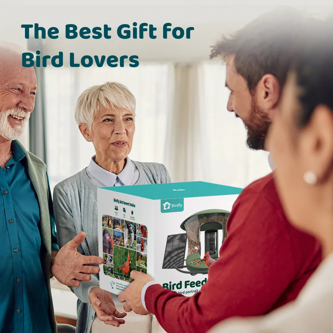 Birdfy feeder2 pro