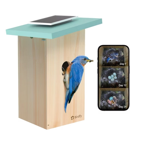 Birdfy Nest Cyan 1080