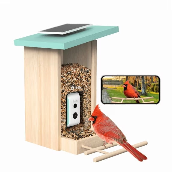 Birdfy Feeder Cyan 1080