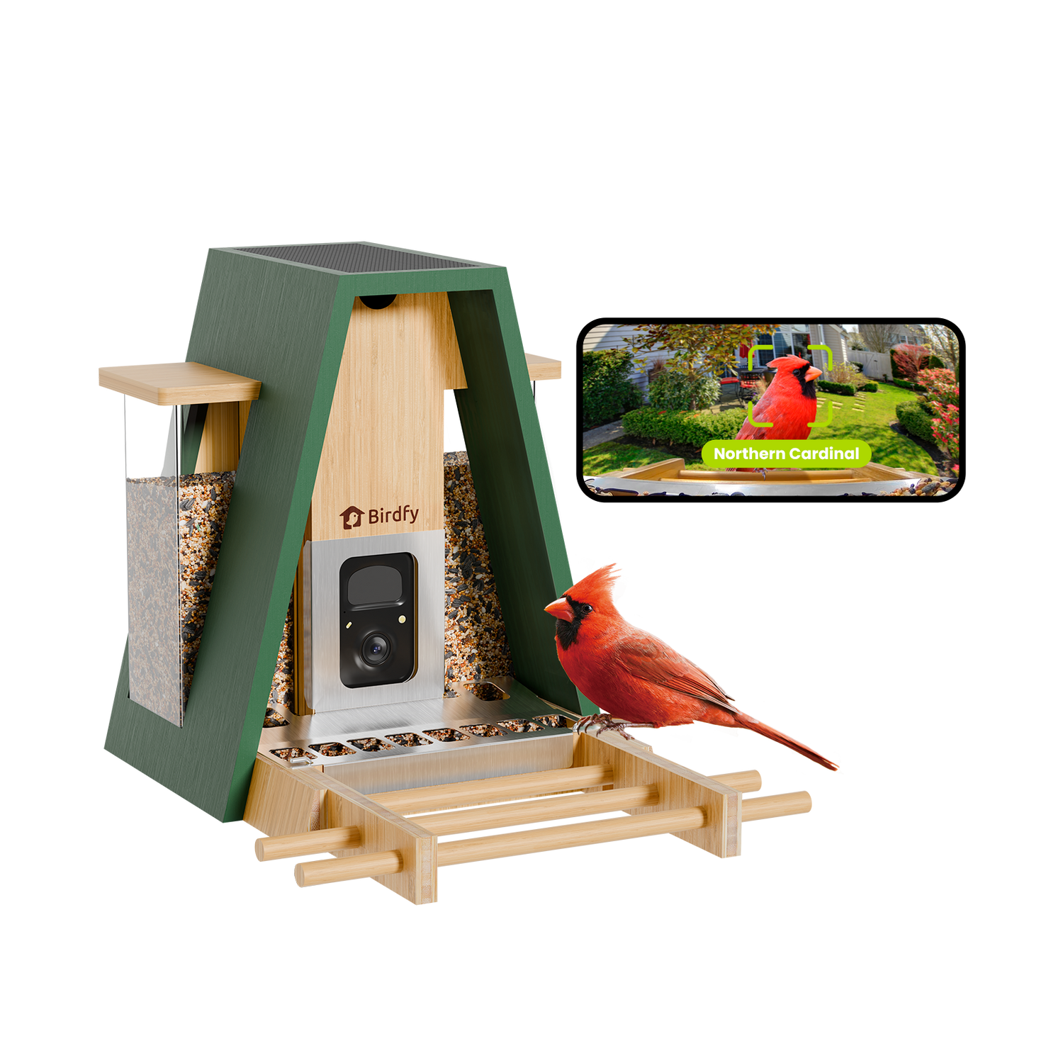 Birdfy Feeder Bamboo A