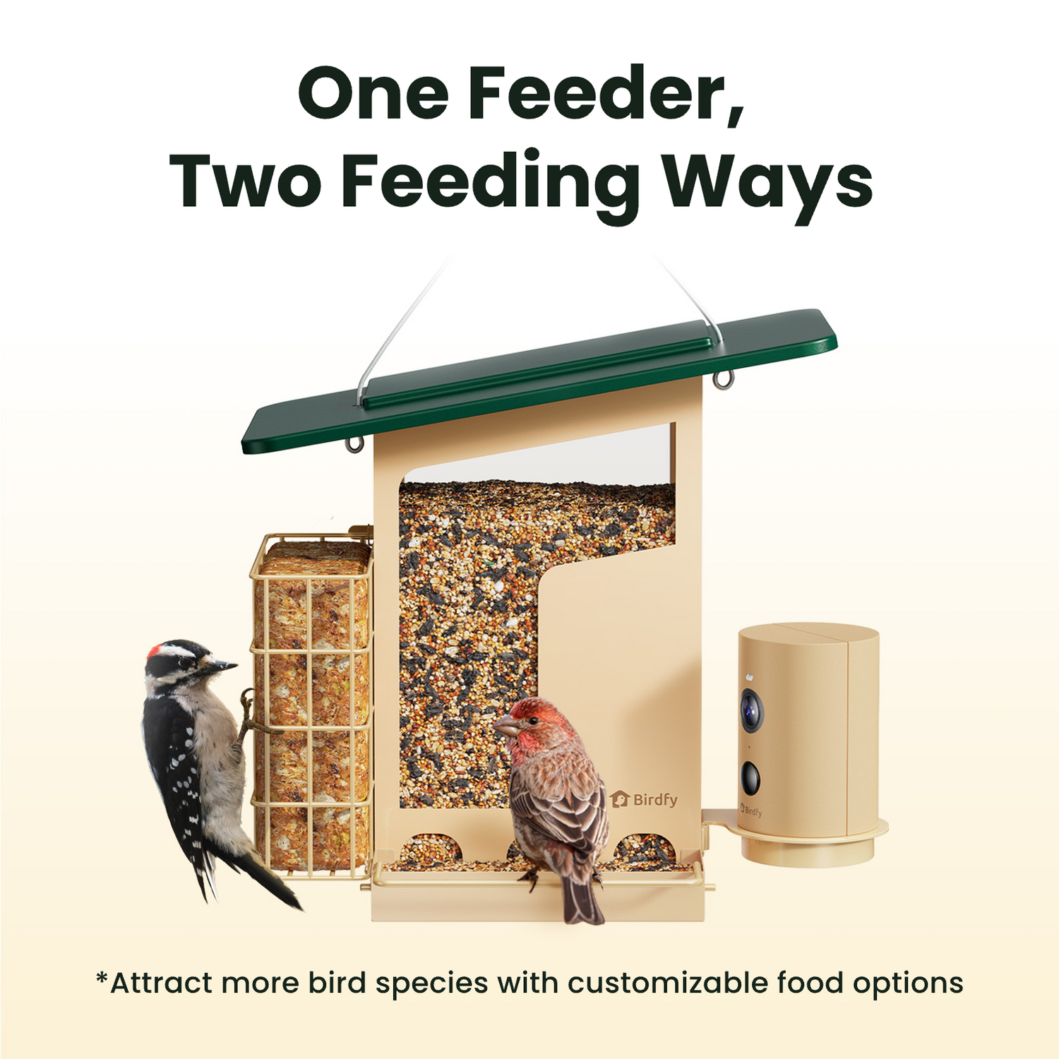 Birdfy Feeder Metal S