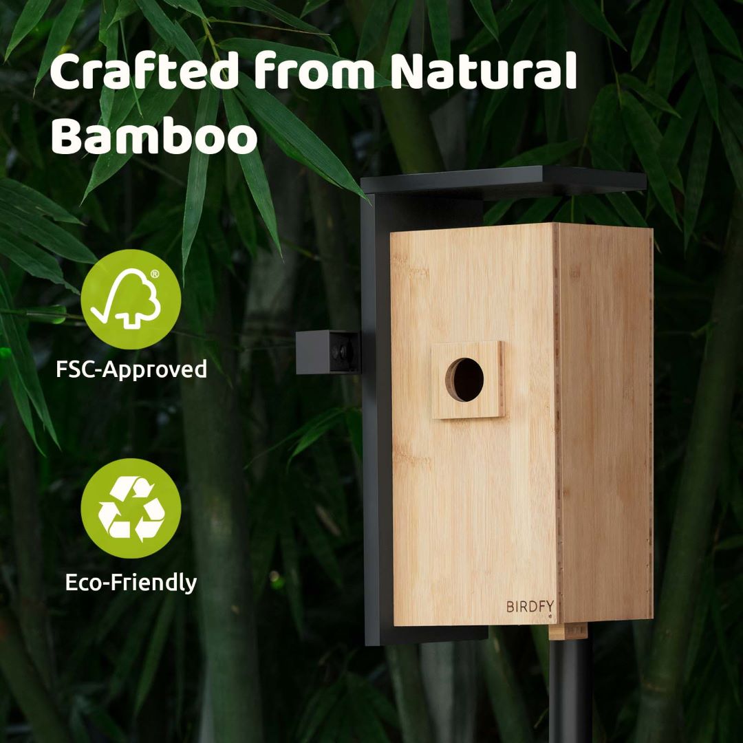 Birdfy Nest DUO - Smart Bird House with Dual Cameras