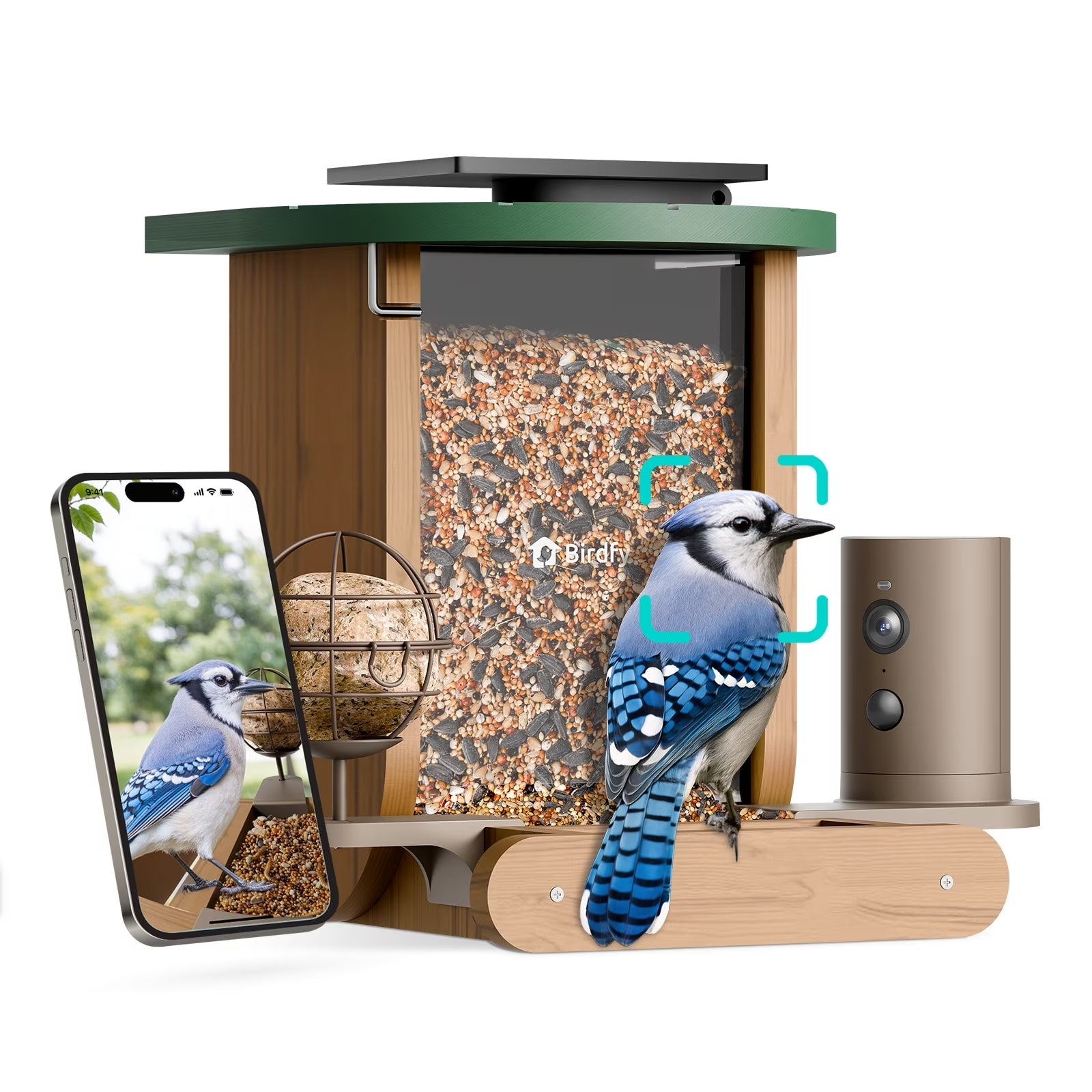 Birdfy Feeder Cedar D