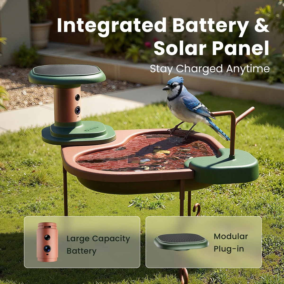 Solar powered bird feeder mounted outdoor