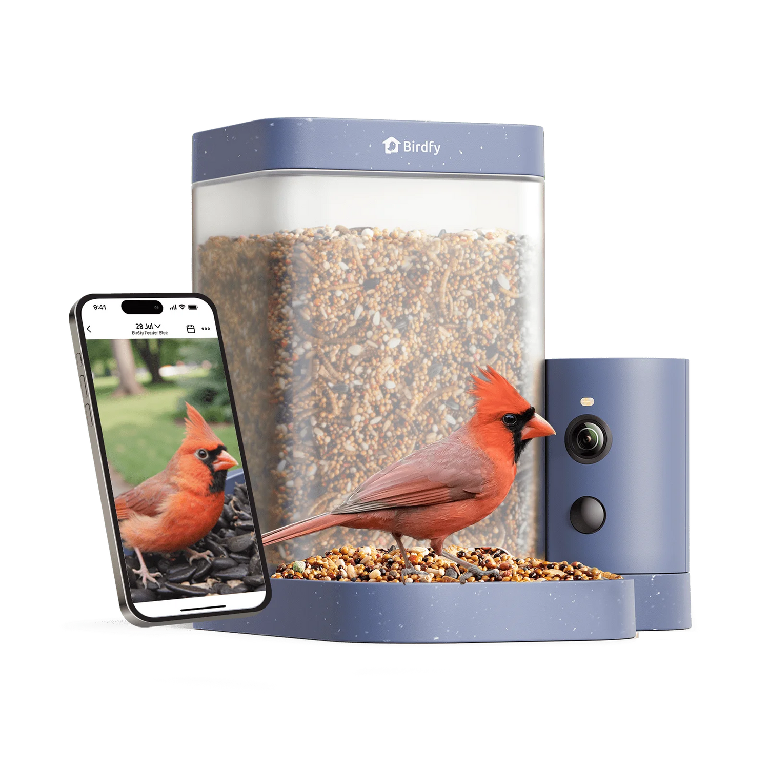 Birdfy Rookie Lite