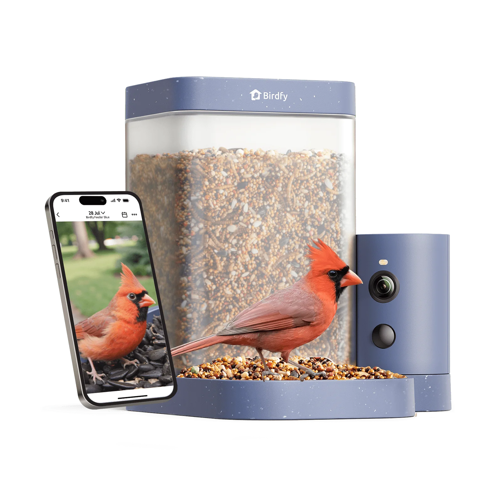 Birdfy Rookie Lite