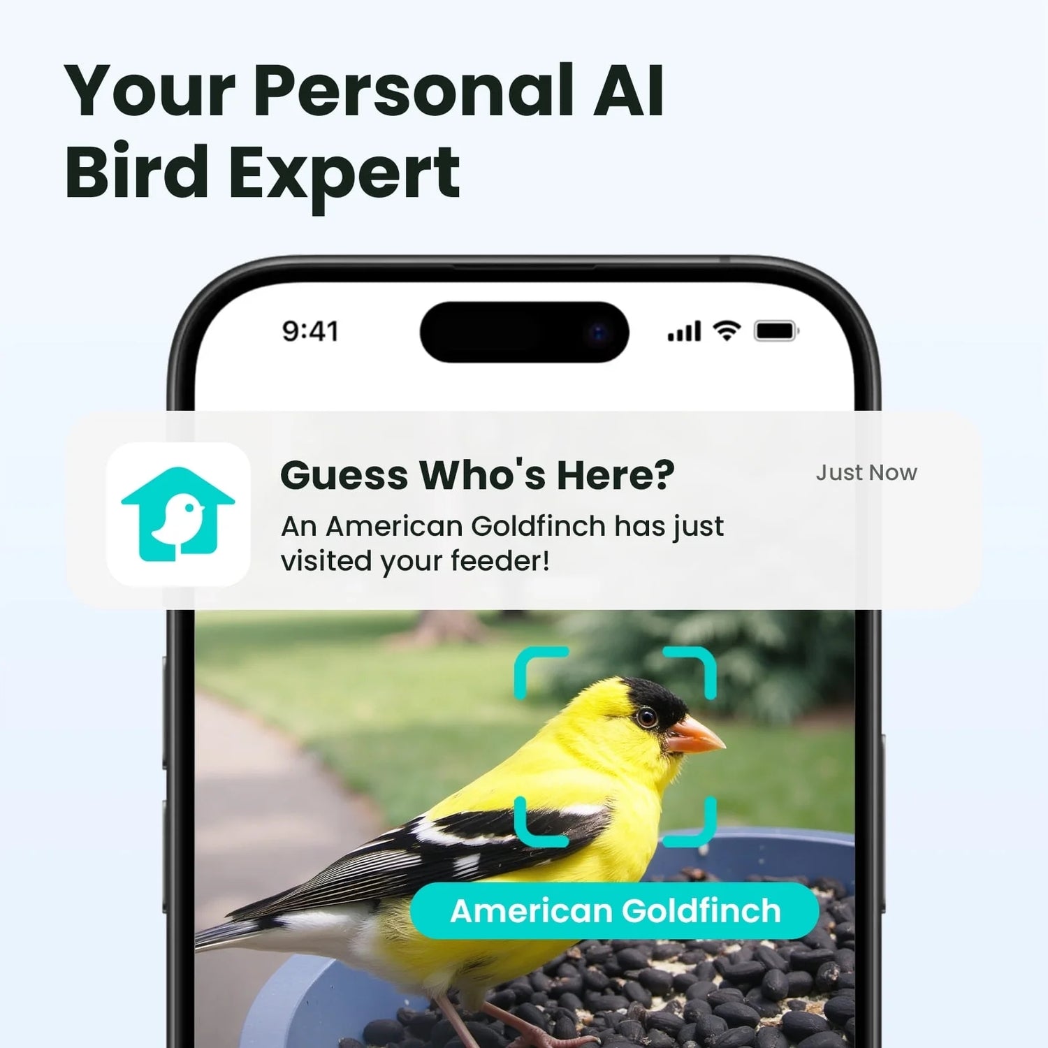 Birdfy Rookie Lite