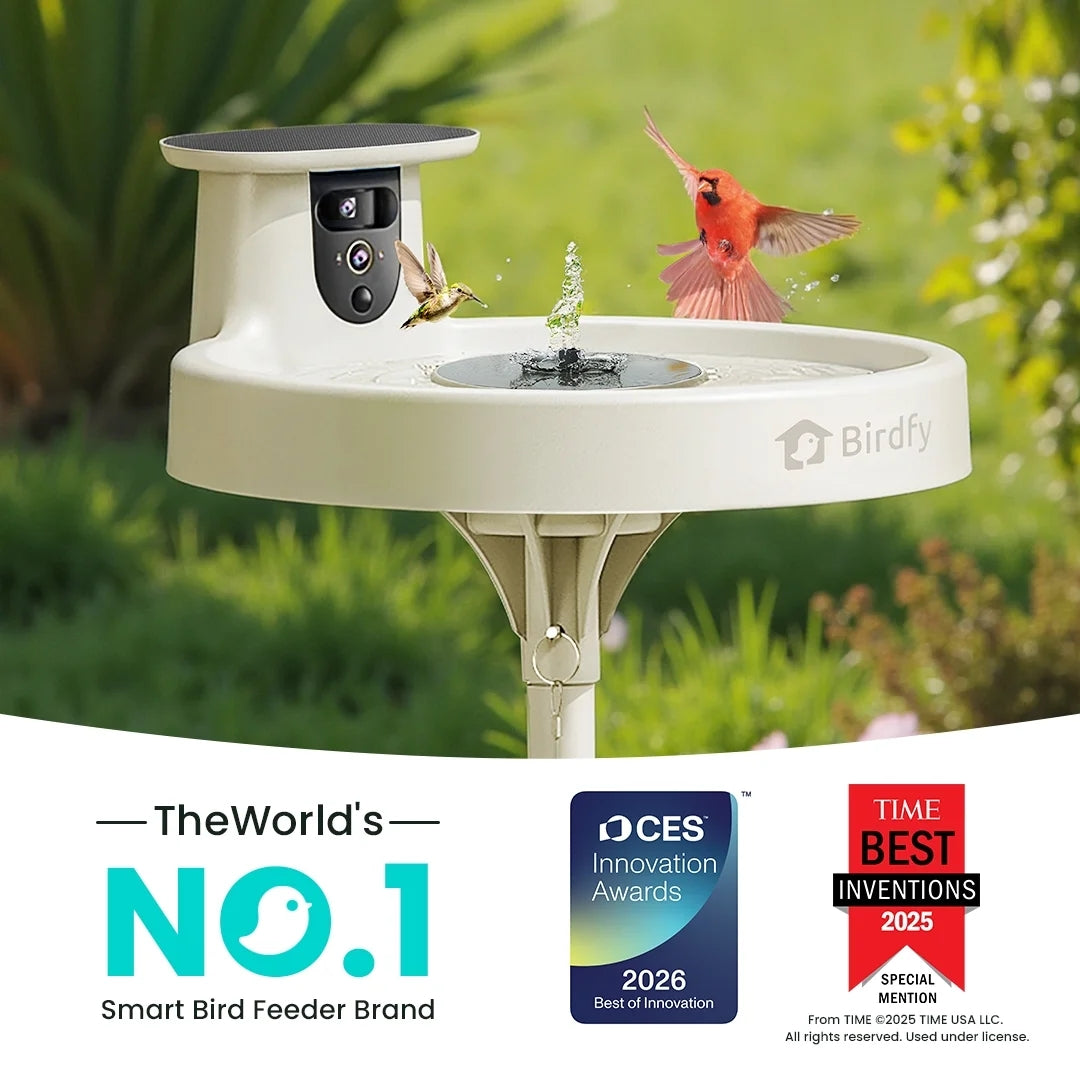 Birdfy Bird Bath with Camera with Solar Panel White