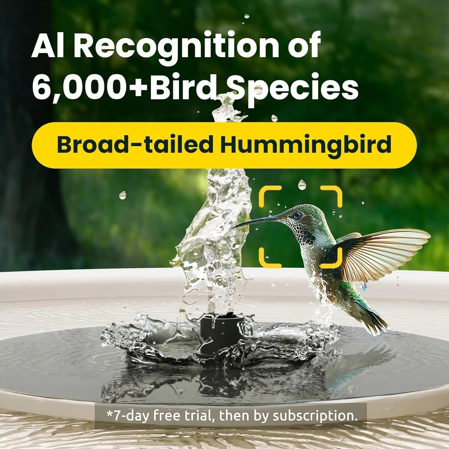 Birdfy Bird Bath with Camera with Solar Panel White