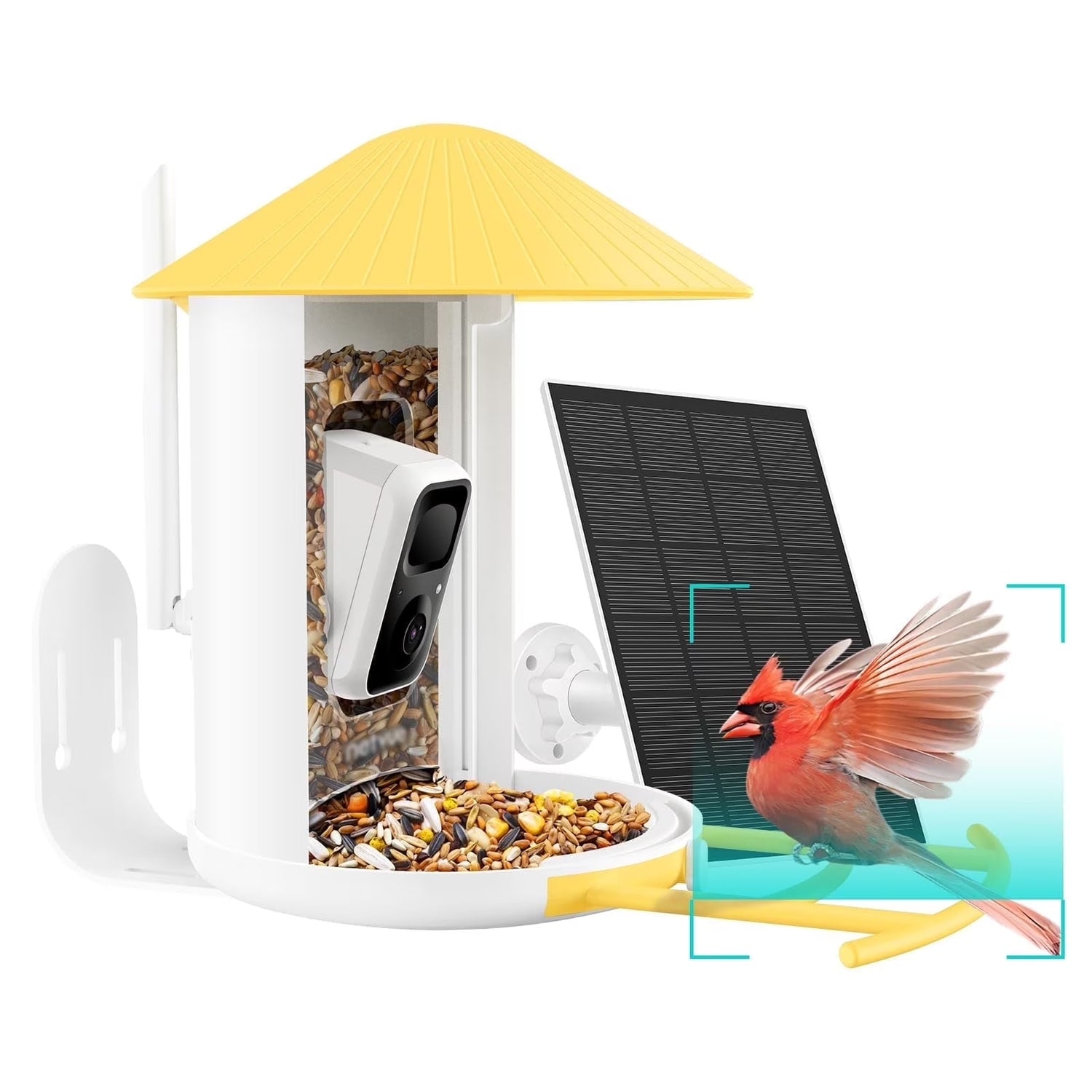 Birdfy Feeder Yellow with Solar Panel