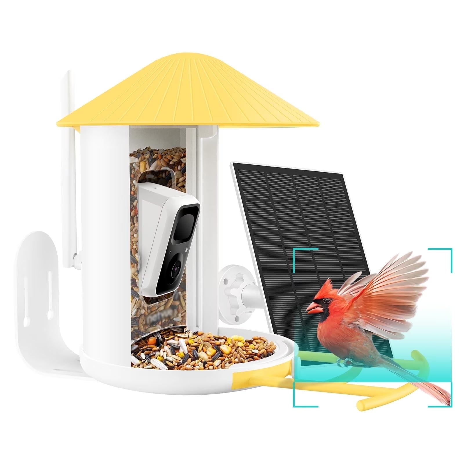 Birdfy Feeder Yellow with Solar Panel