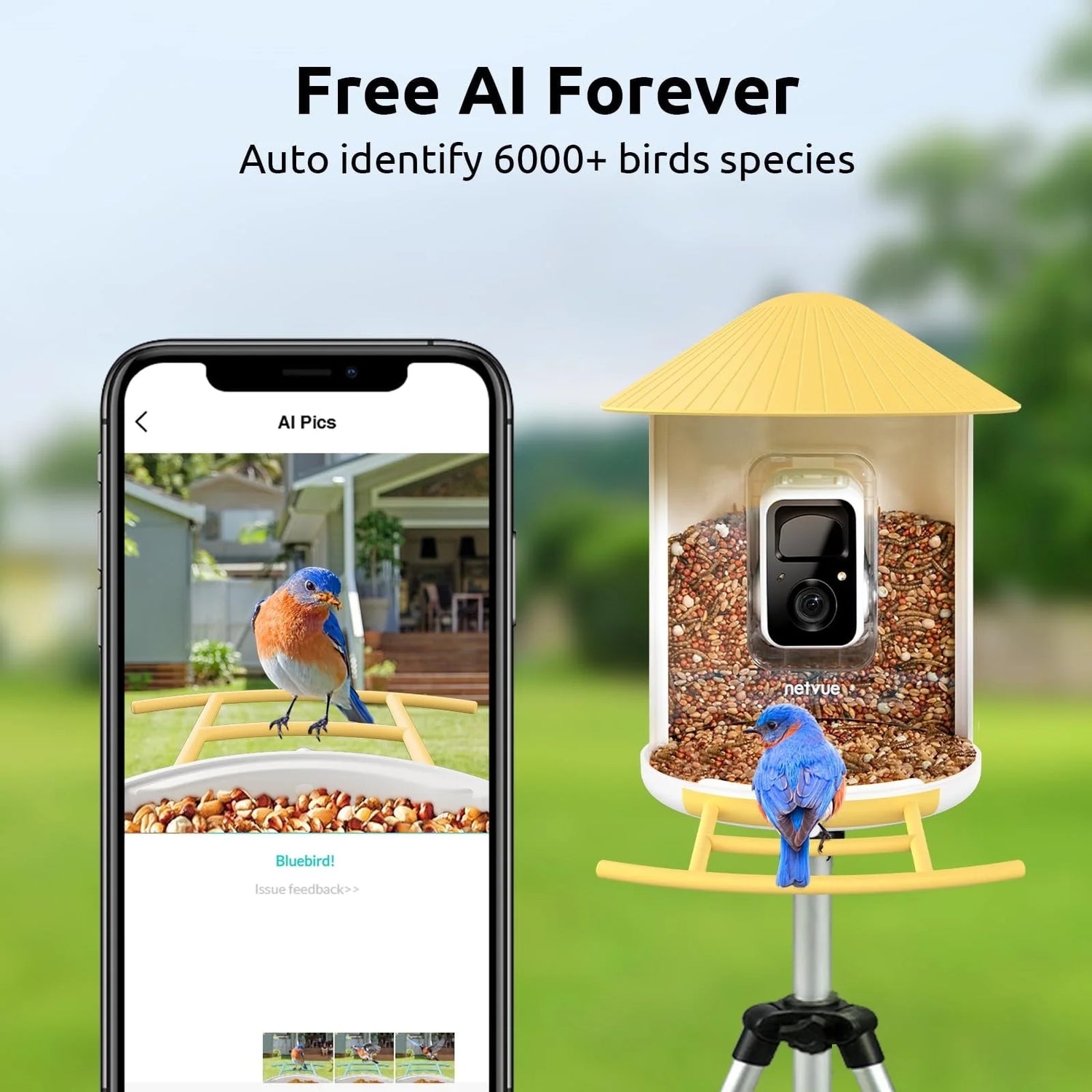 Birdfy Feeder Yellow with Solar Panel