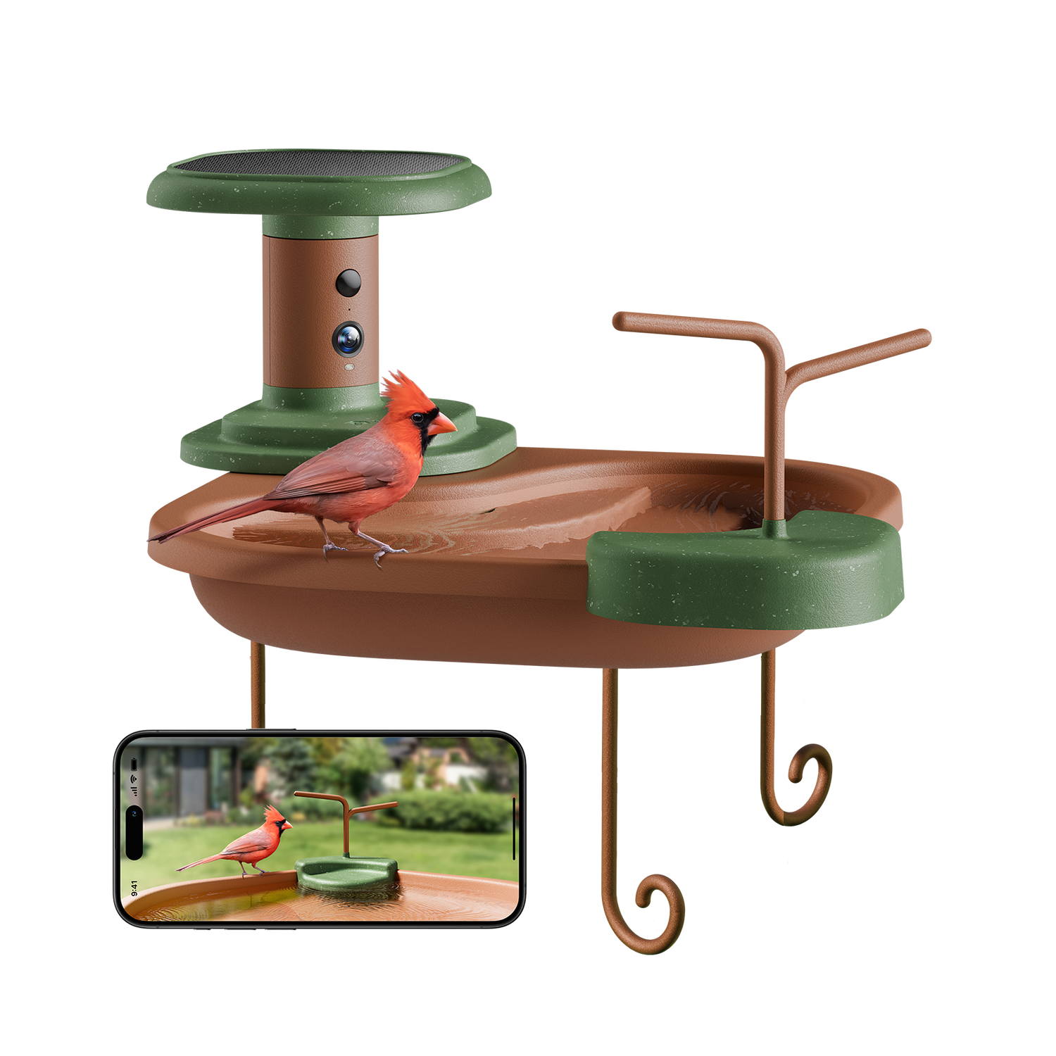 Birdfy Jolly V