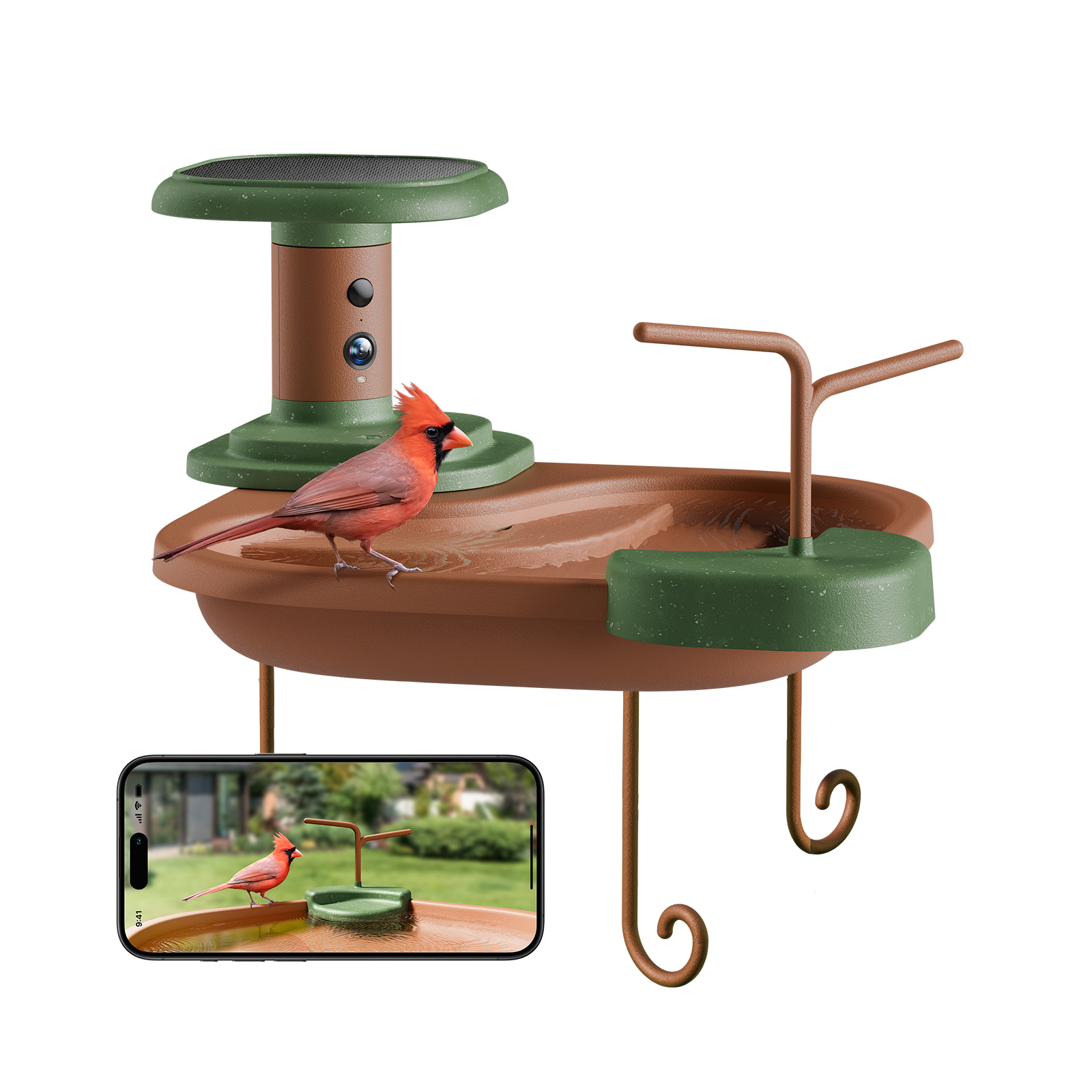Birdfy Jolly V