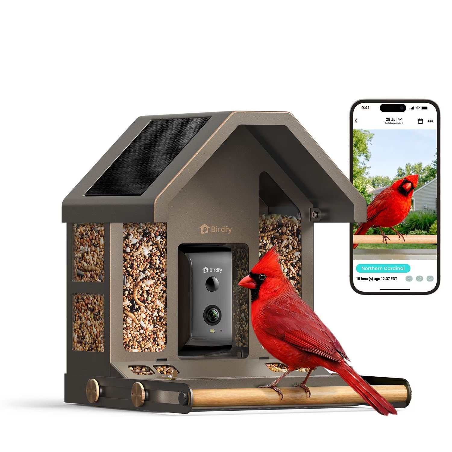 Birdfy Feeder Metal Espresso