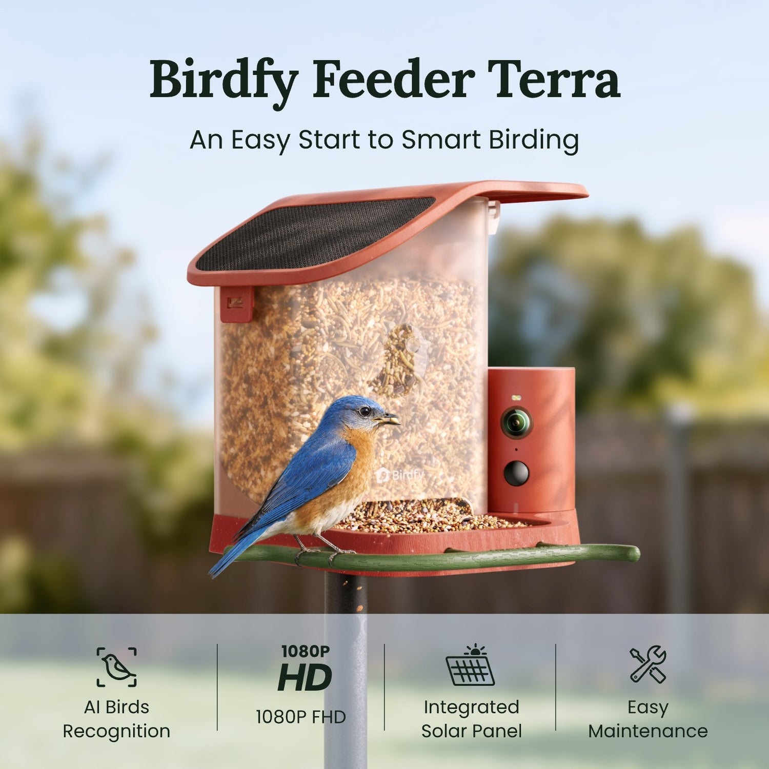 Birdfy Terra