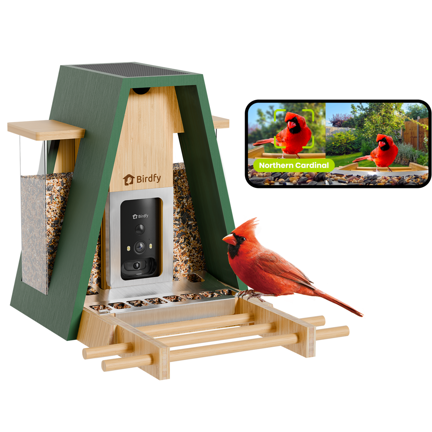 Birdfy Feeder Bamboo A Pro