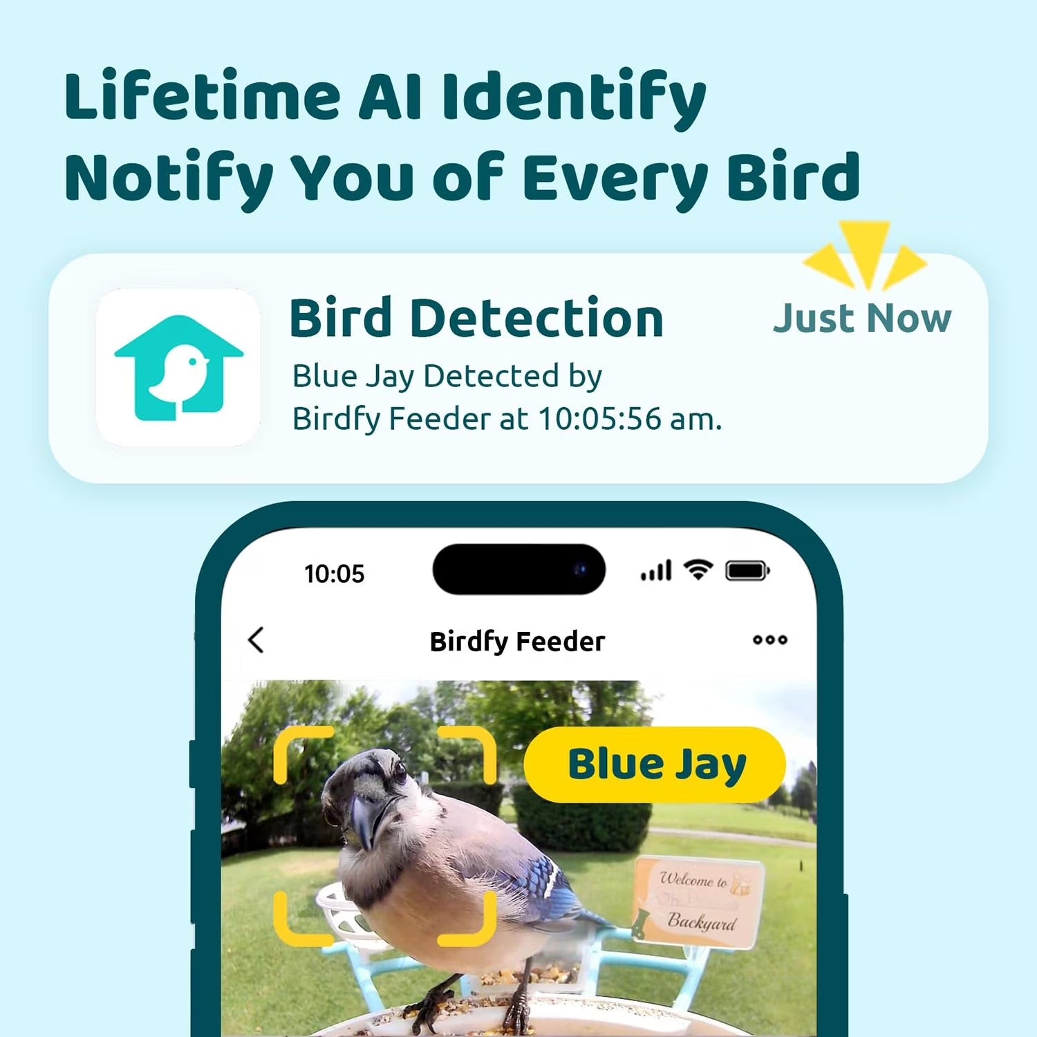 Birdfy Feeder AI +Solar SM