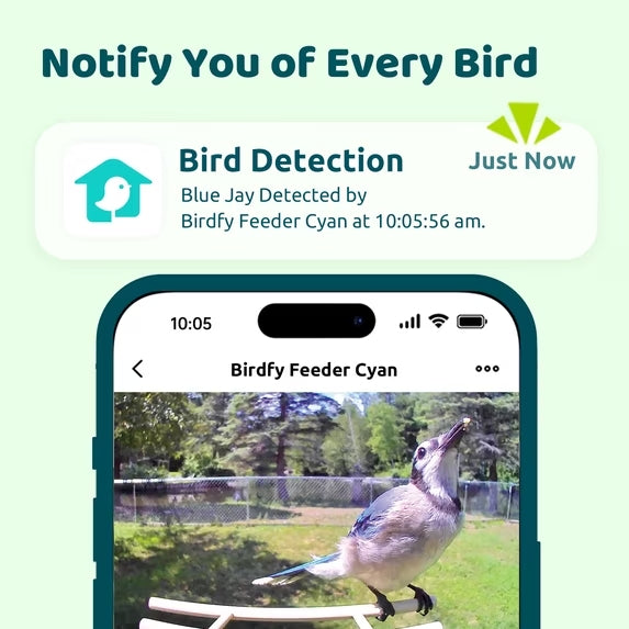 Birdfy Feeder Cyan 2K