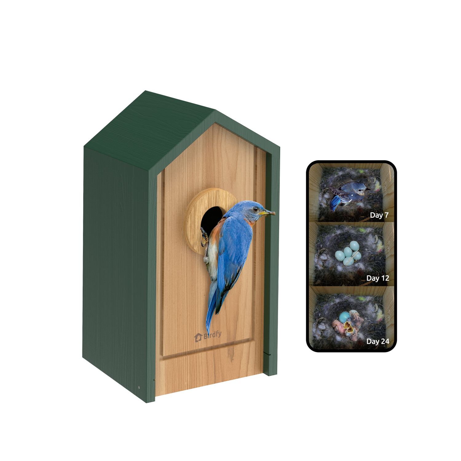 Birdfy Birdhouse Cedar