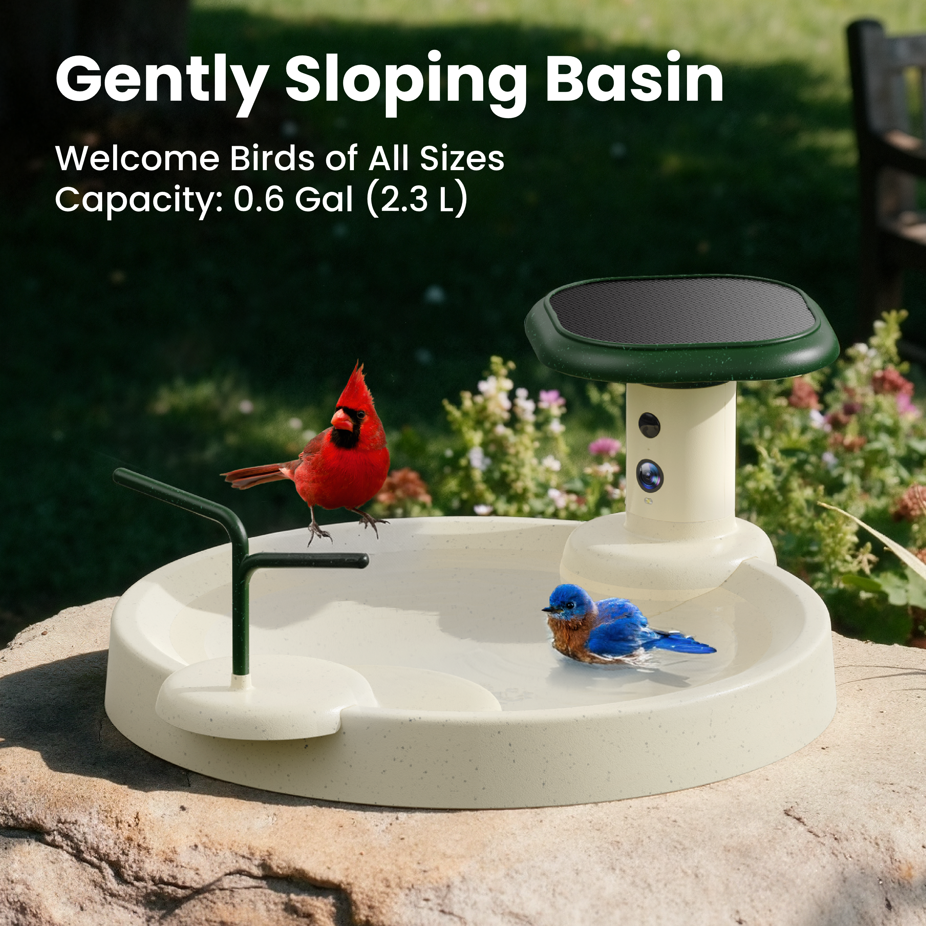 Birdfy Birdbath Jolly O