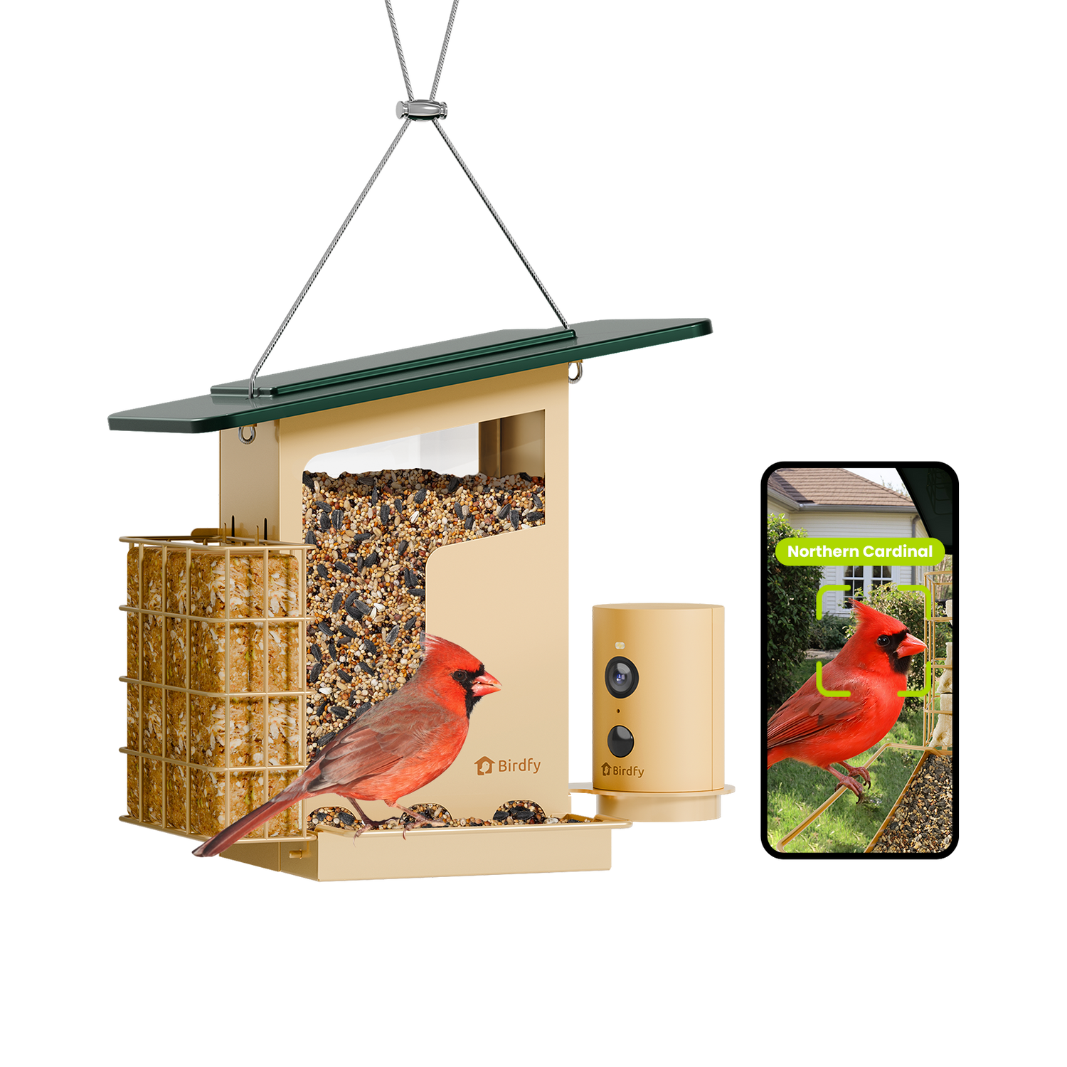 Birdfy Feeder Metal S