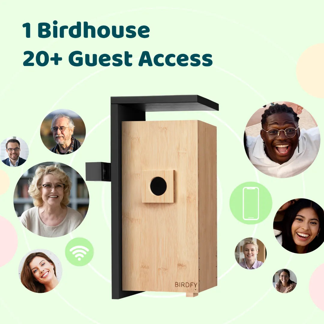 Birdfy Nest DUO - Smart Bird House with Dual Cameras