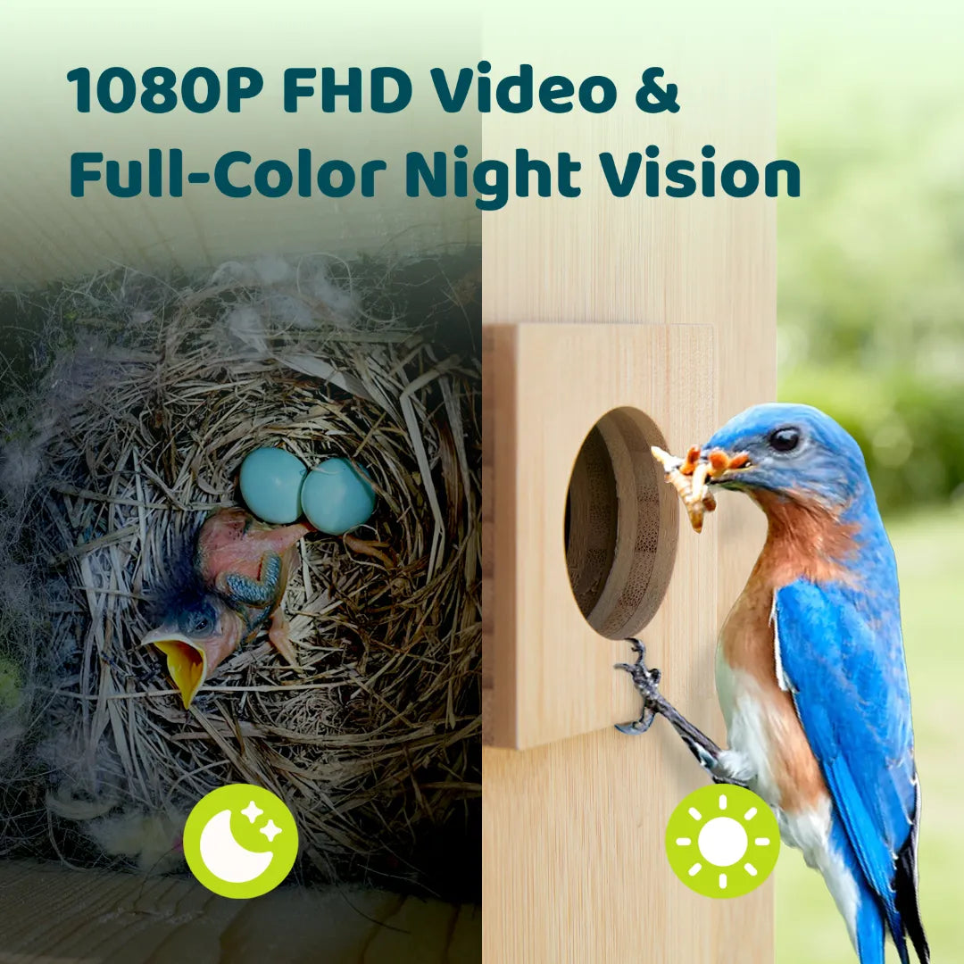 Birdfy Nest DUO - Smart Bird House with Dual Cameras