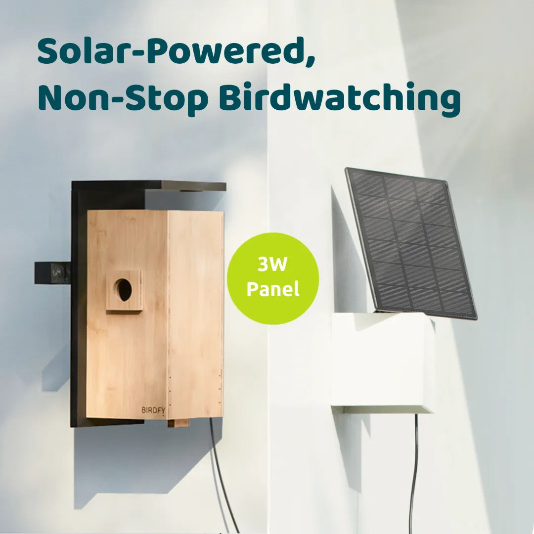 Birdfy Nest DUO - Smart Bird House with Dual Cameras