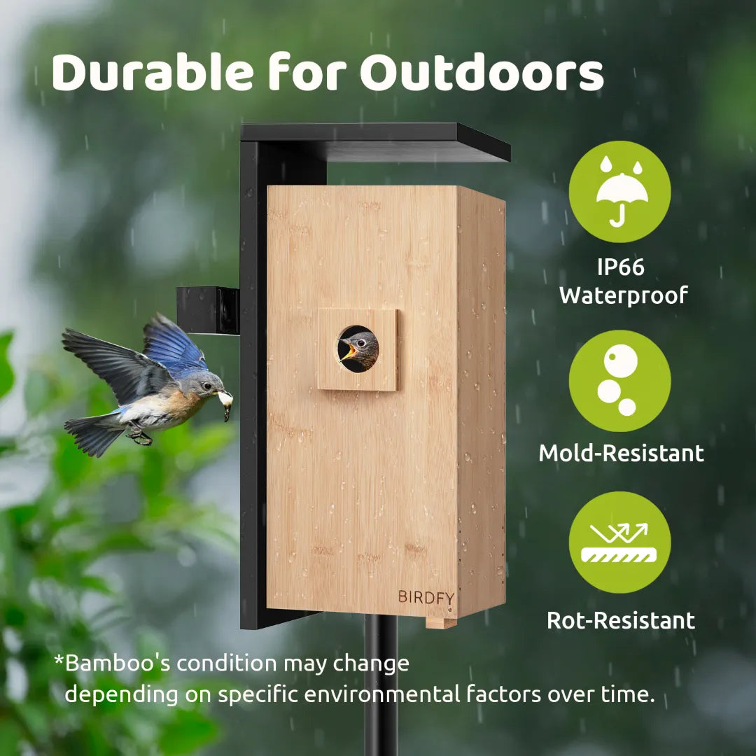 Birdfy Nest DUO - Smart Bird House with Dual Cameras