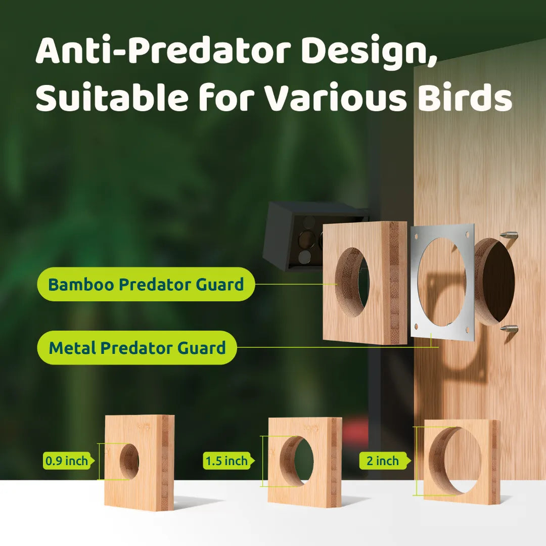 Birdfy Nest DUO - Smart Bird House with Dual Cameras