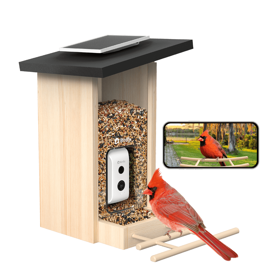 Birdfy Feeder Ebony - Wooden Smart Bird Feeder