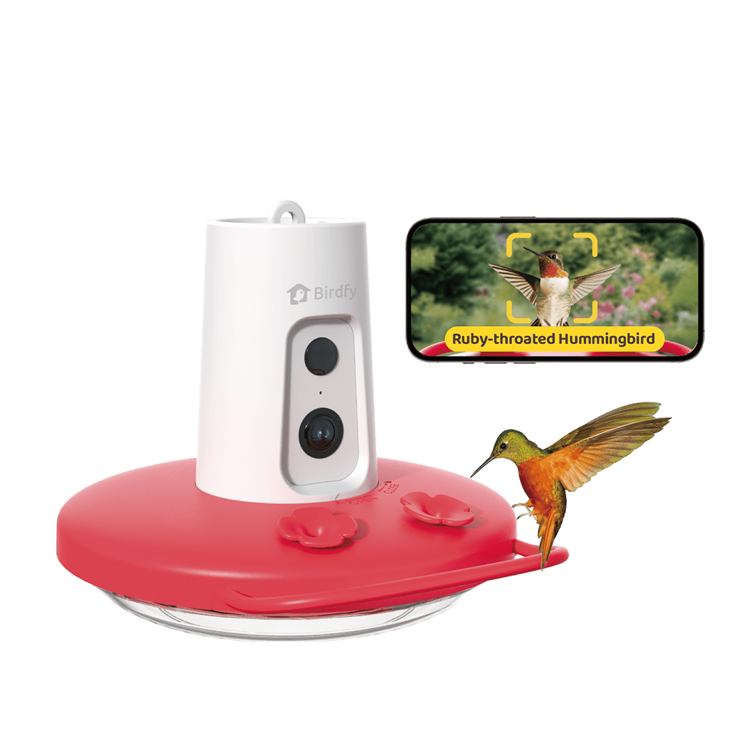 Birdfy Hum Feeder Ruby
