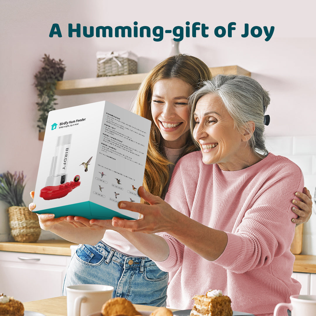 Birdfy Hum Feeder Duo - Hummingbird Feeder with Dual Camera