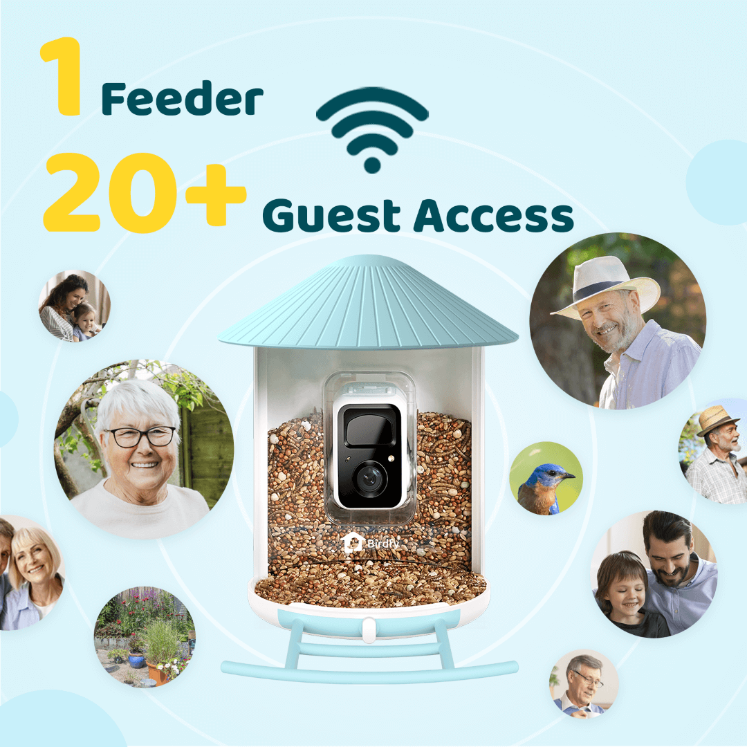 Birdfy Feeder with Solar Panel
