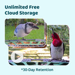 Birdfy feeder2 pro