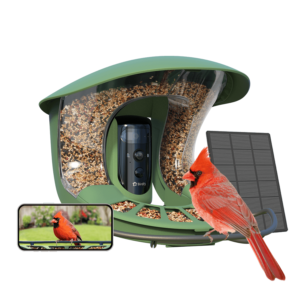Birdfy feeder2 pro
