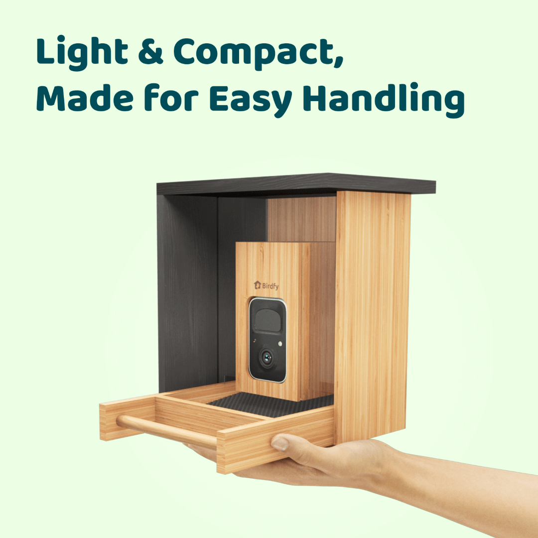 Birdfy Feeder Bamboo Mini