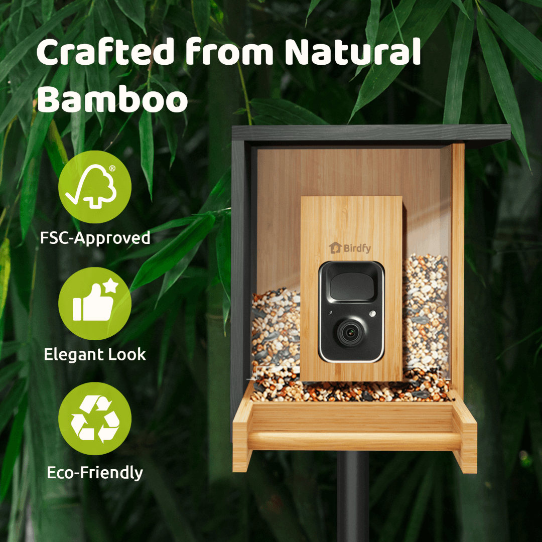 Birdfy Feeder Bamboo Mini