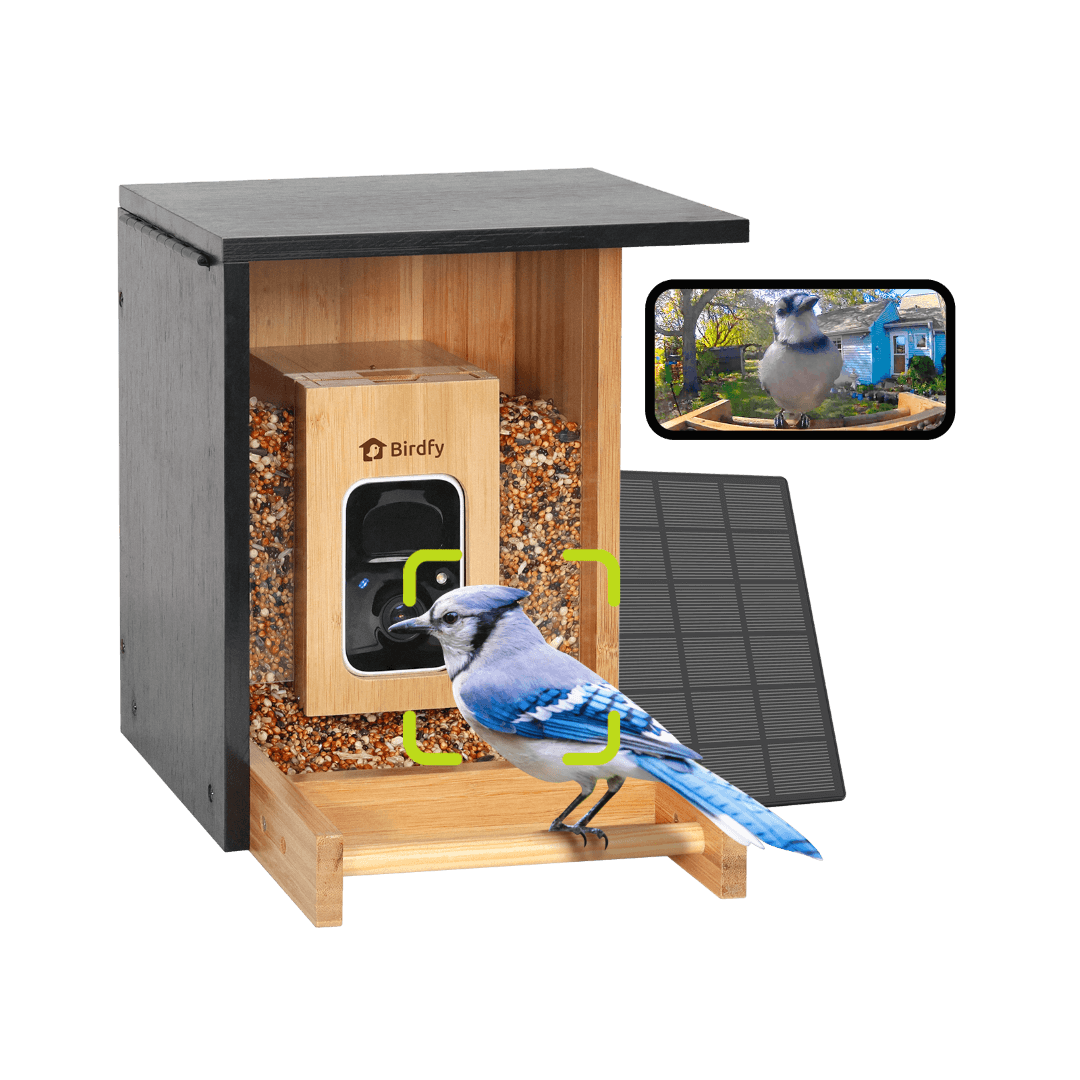 Birdfy Feeder Bamboo Mini