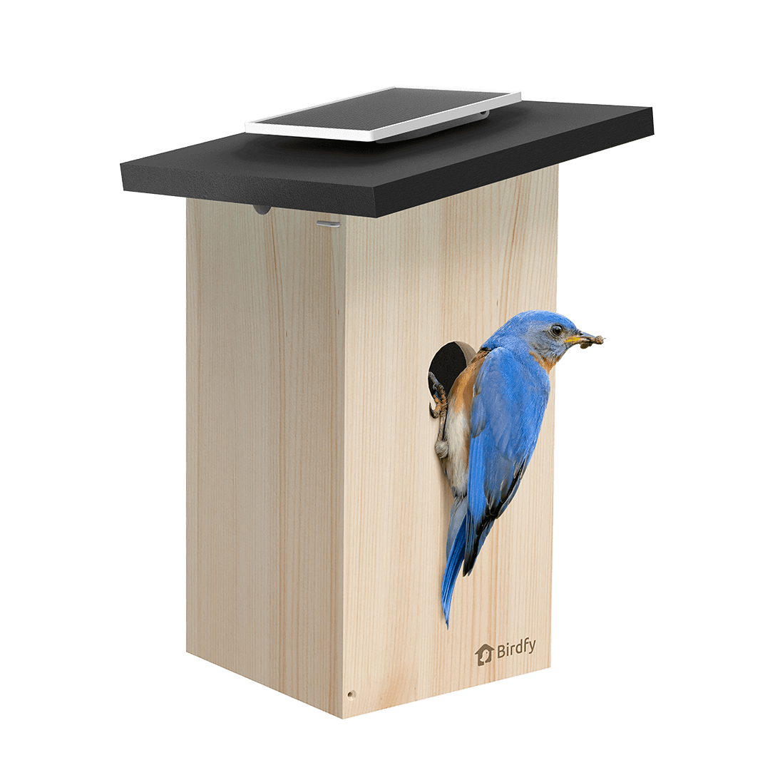 Birdfy Nest Ebony
